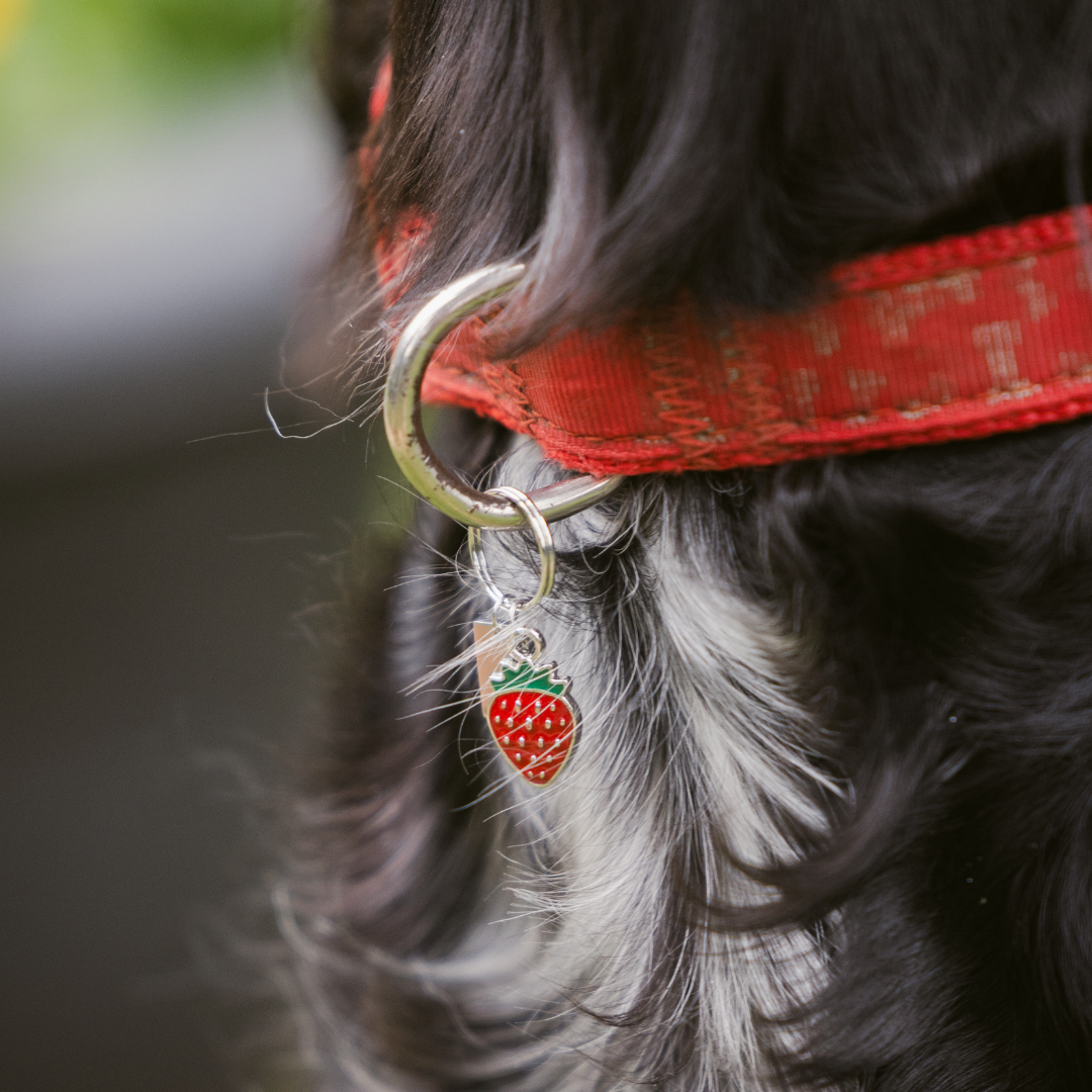 Strawberry Charm