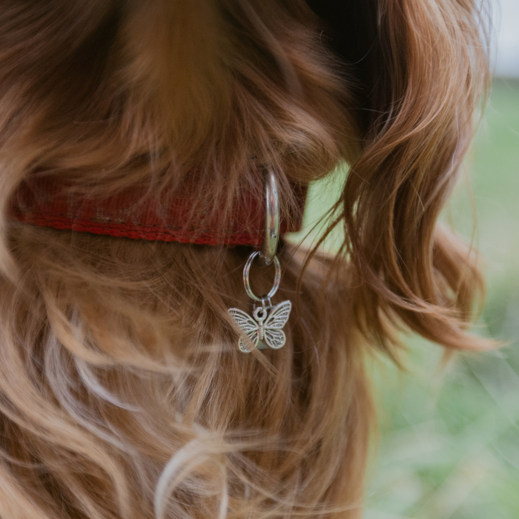 Butterfly Silver Charm