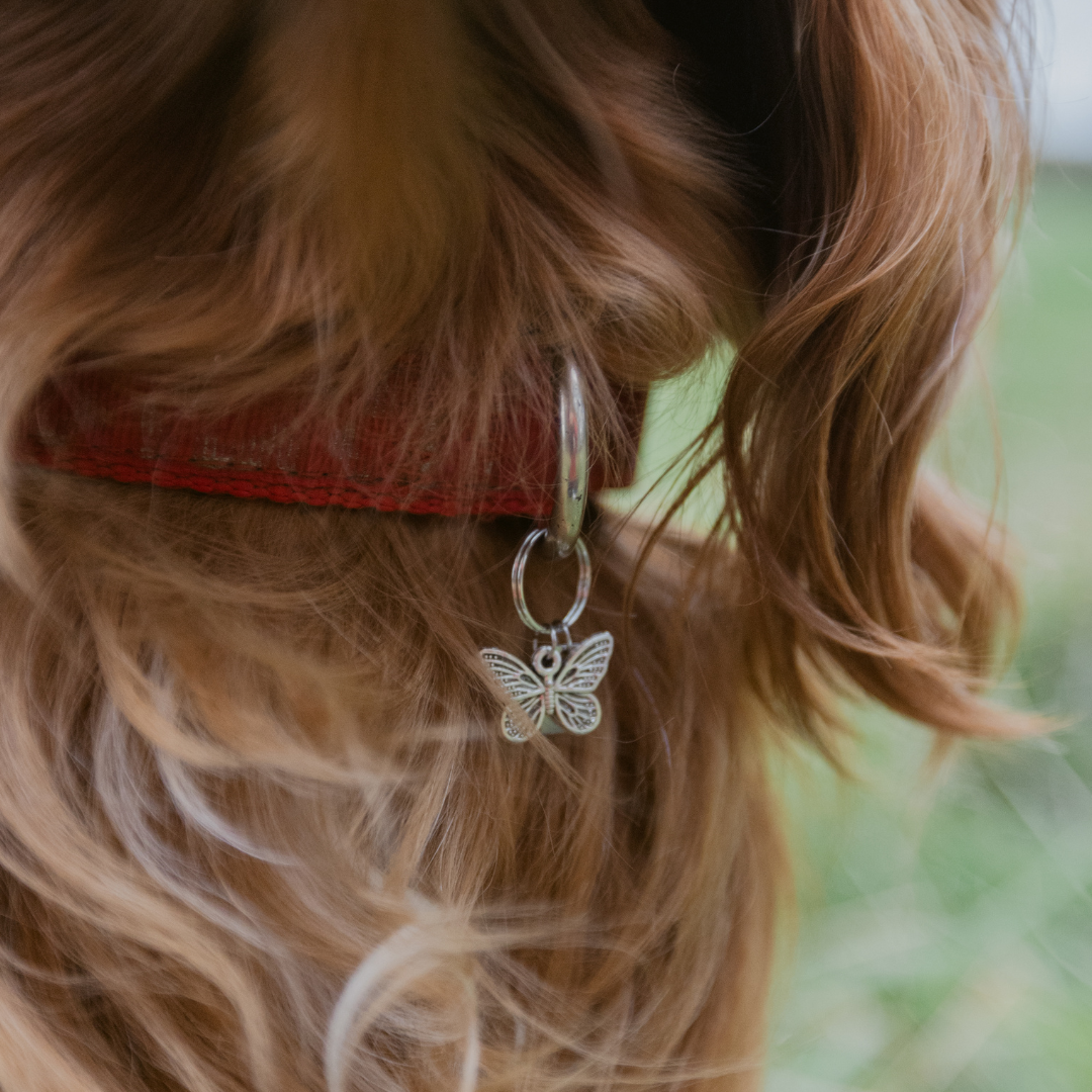 Butterfly Silver Charm