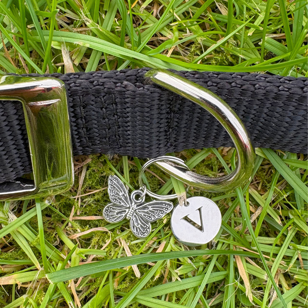 Butterfly Silver Charm