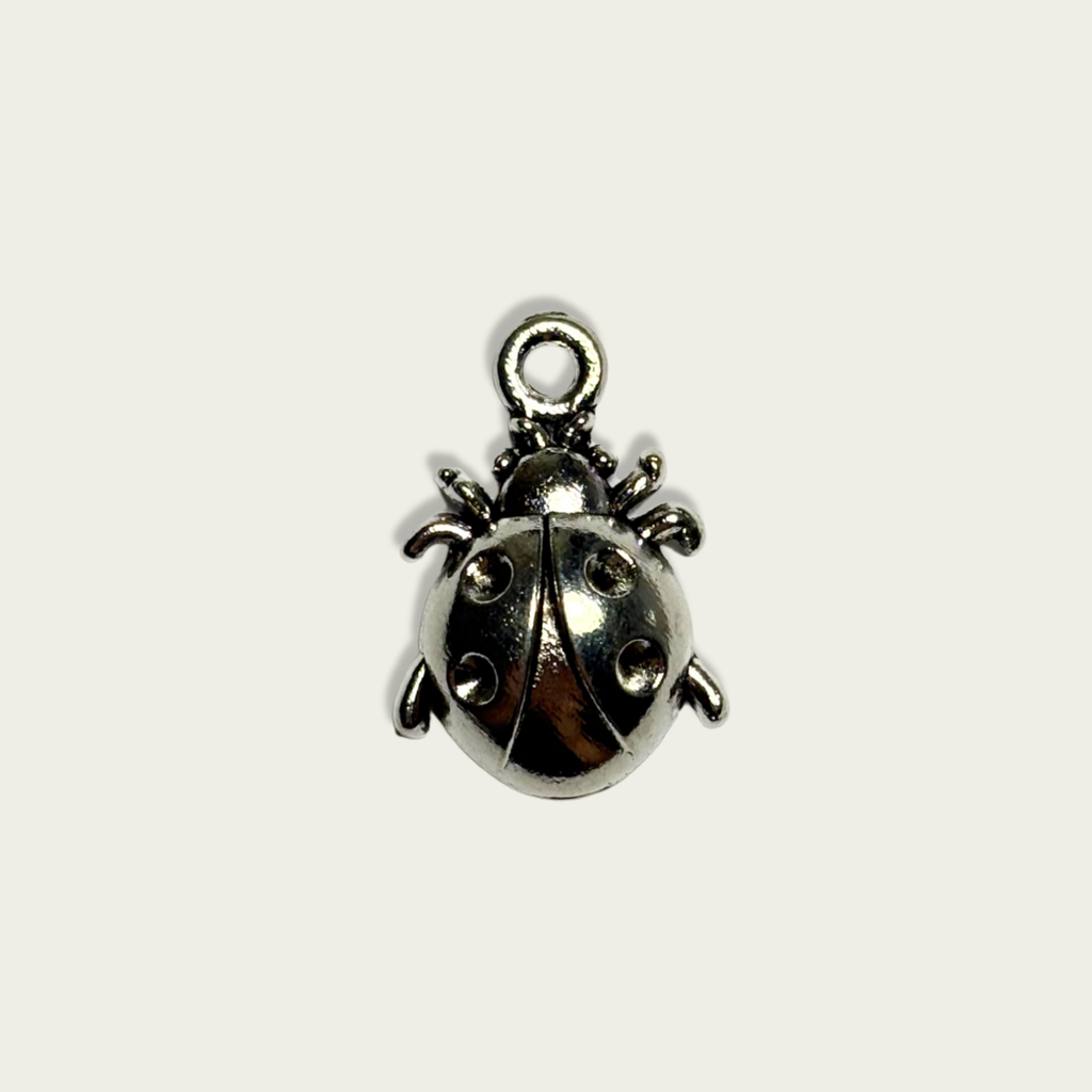 Ladybird Silver Charm