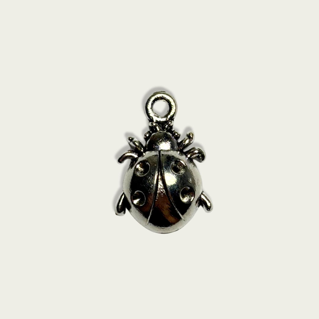 Ladybird Silver Charm