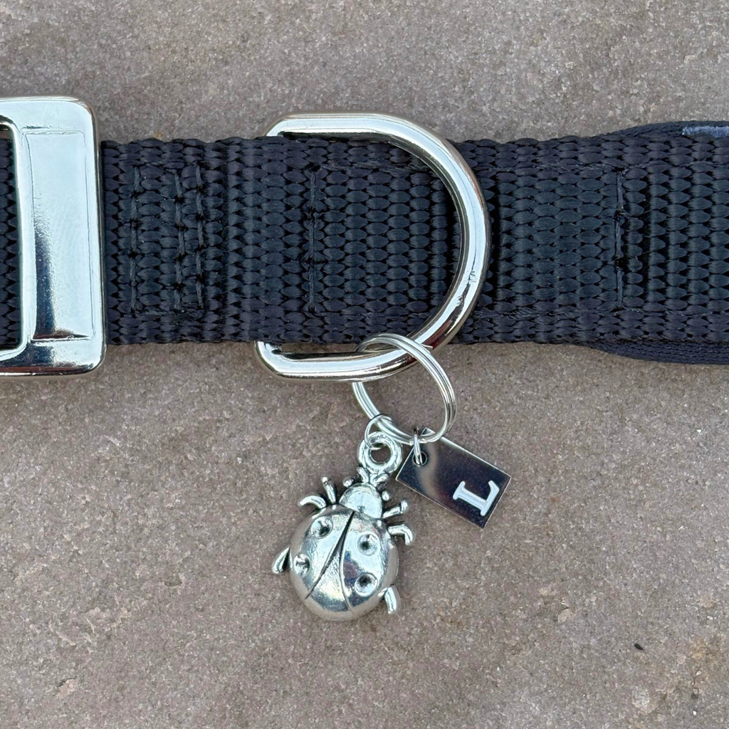 Ladybird Silver Charm