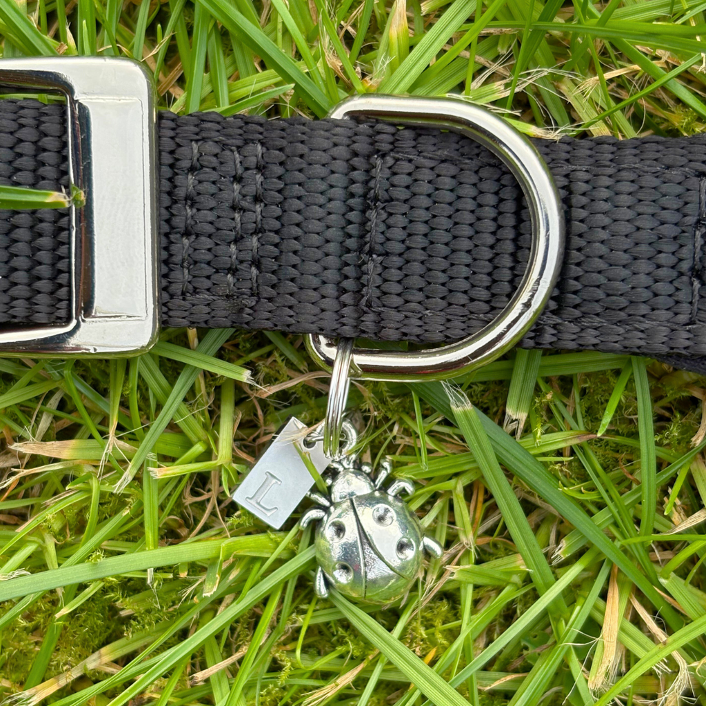 Ladybird Silver Charm