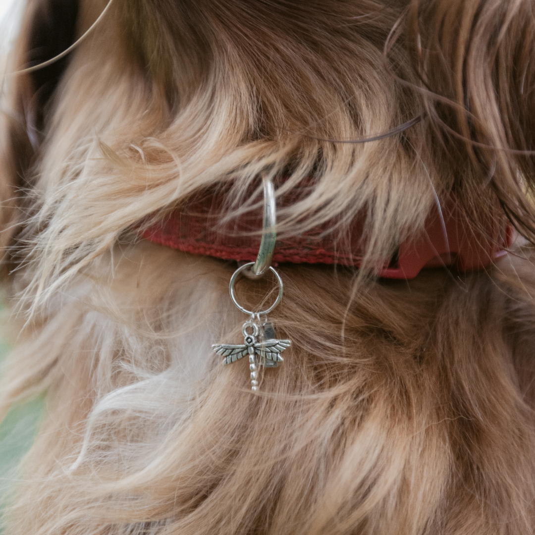 Dragonfly Silver Charm