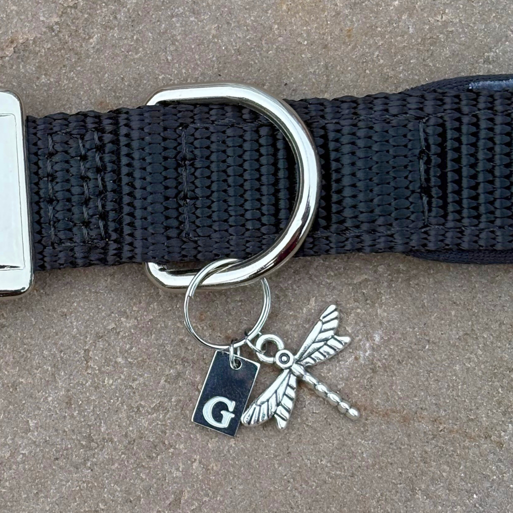 Dragonfly Silver Charm