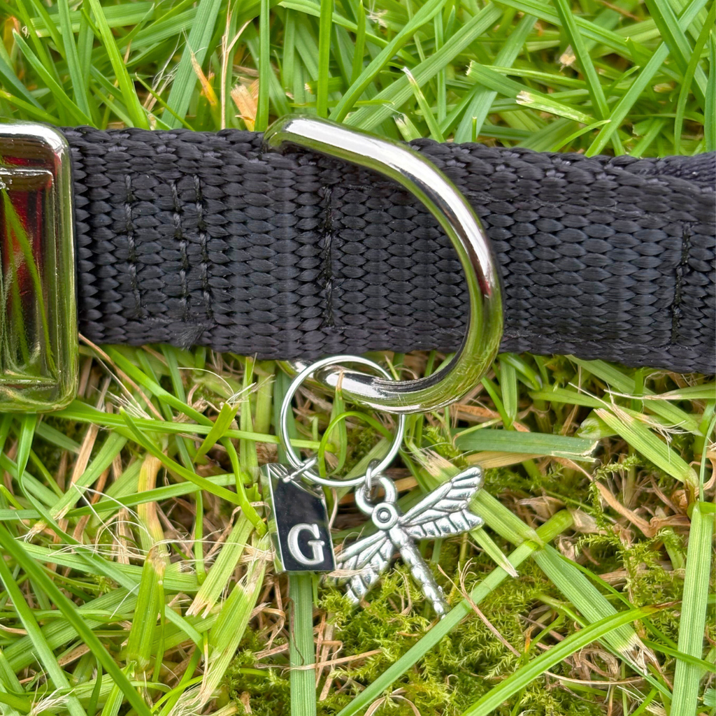 Dragonfly Silver Charm