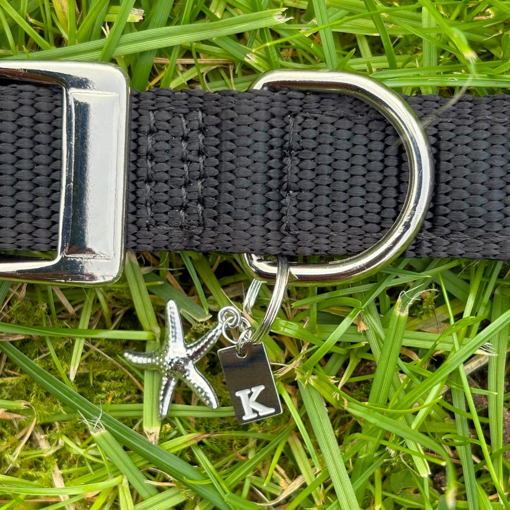 Starfish Silver Charm