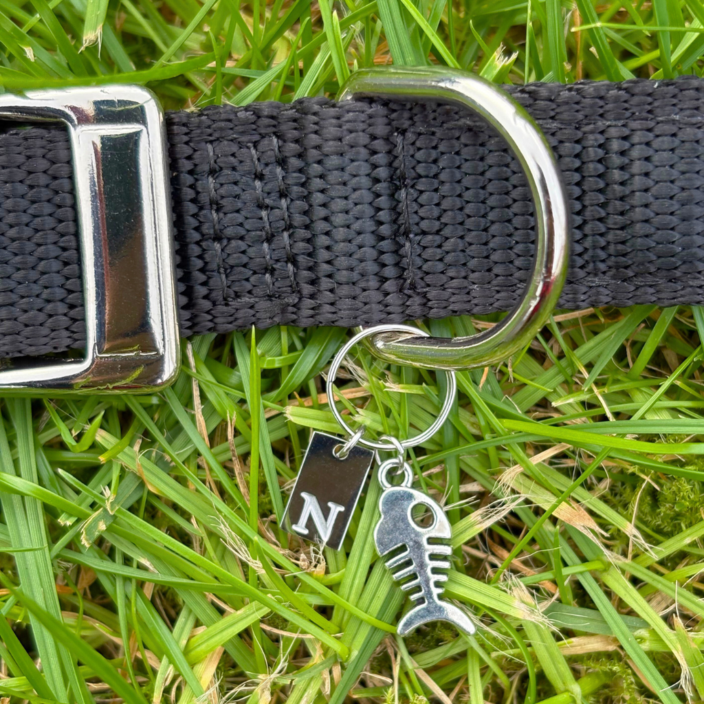 Fishbone Silver Charm