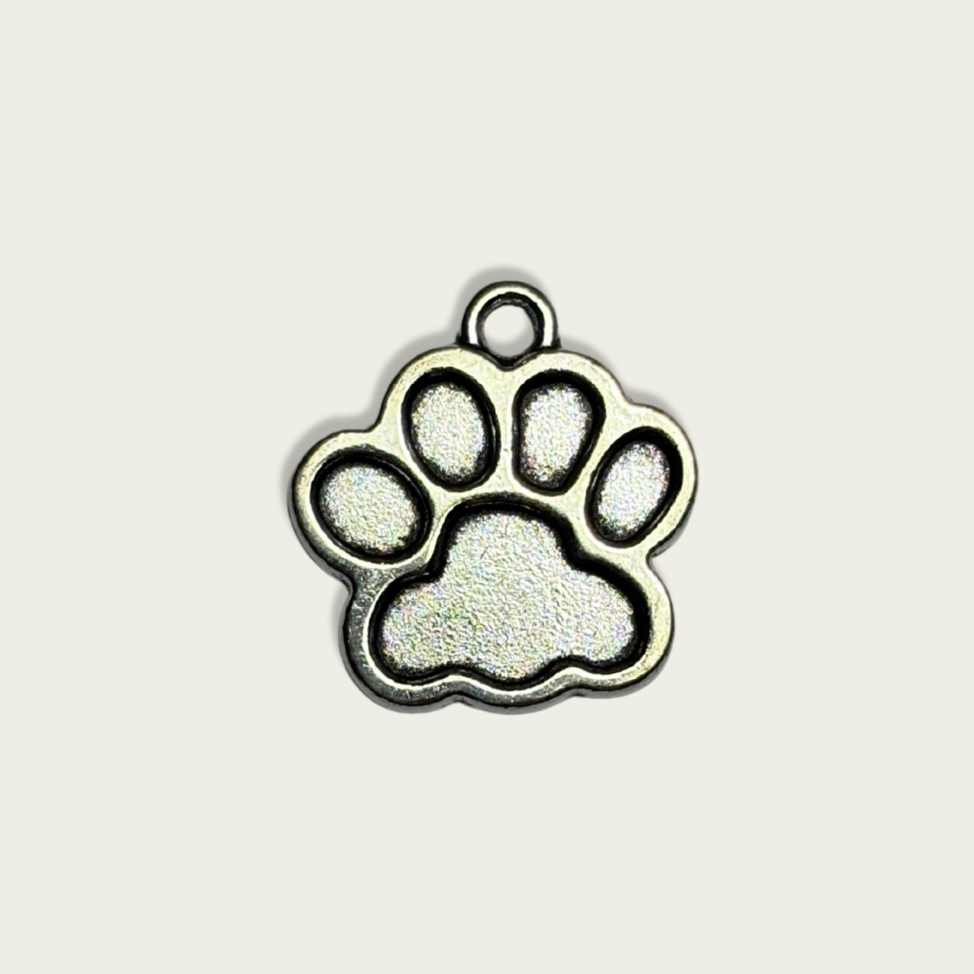 Paw Silver Charm