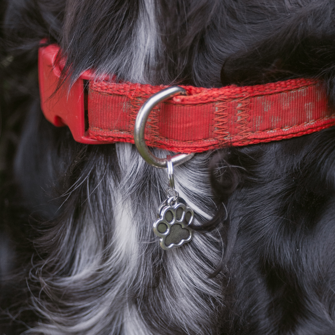 Paw Silver Charm