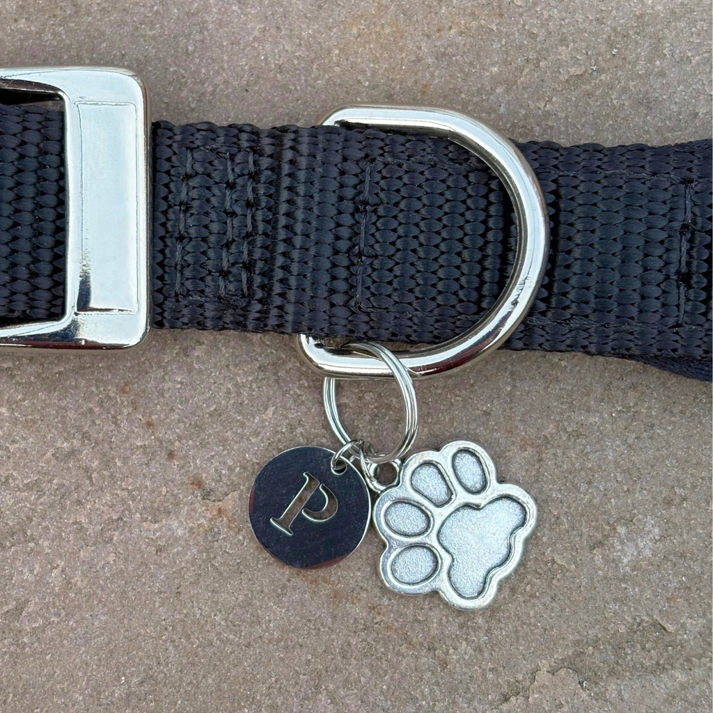Paw Silver Charm