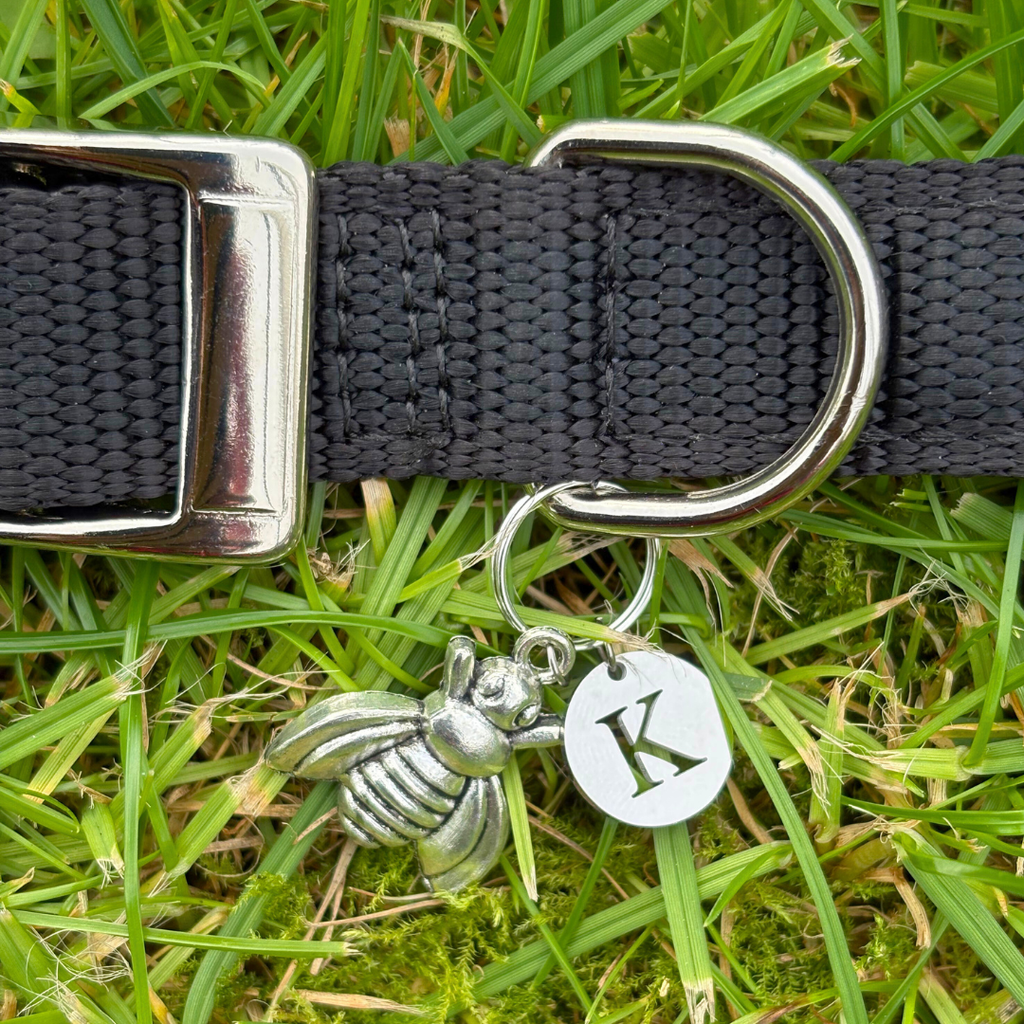 Bee Silver Charm