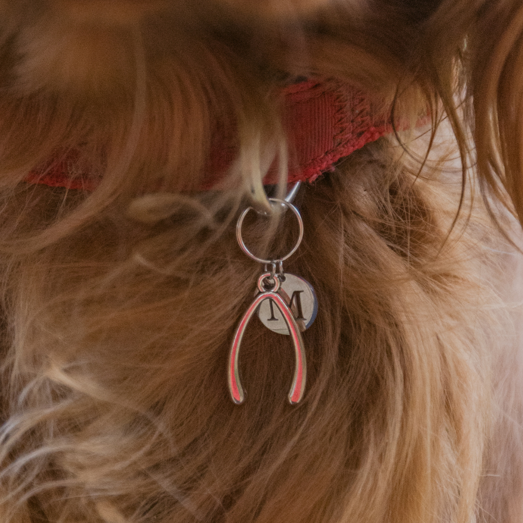 Wishbone Silver Charm