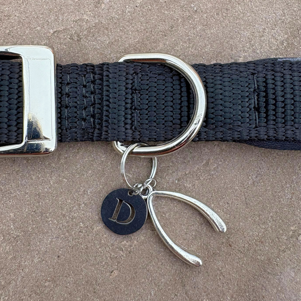 Wishbone Silver Charm