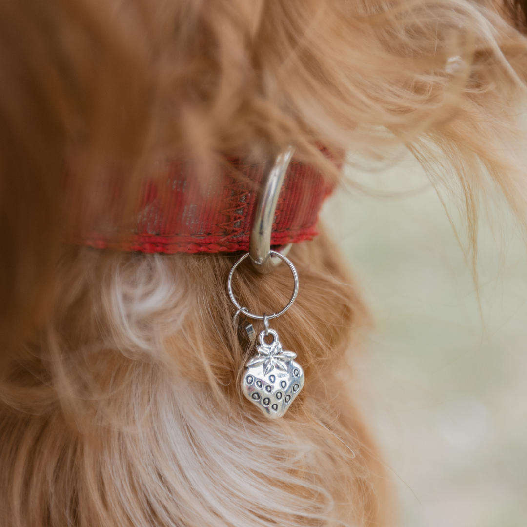 Strawberry Silver Charm