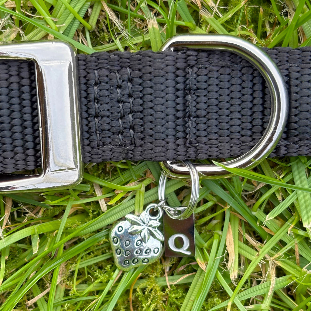Strawberry Silver Charm