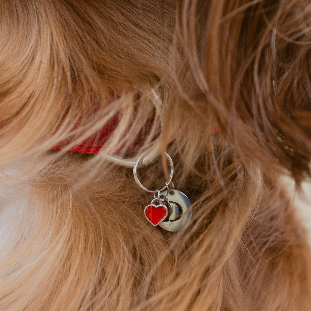 Heart Charm
