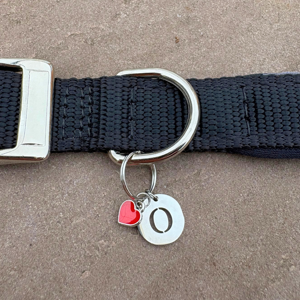 Heart Charm