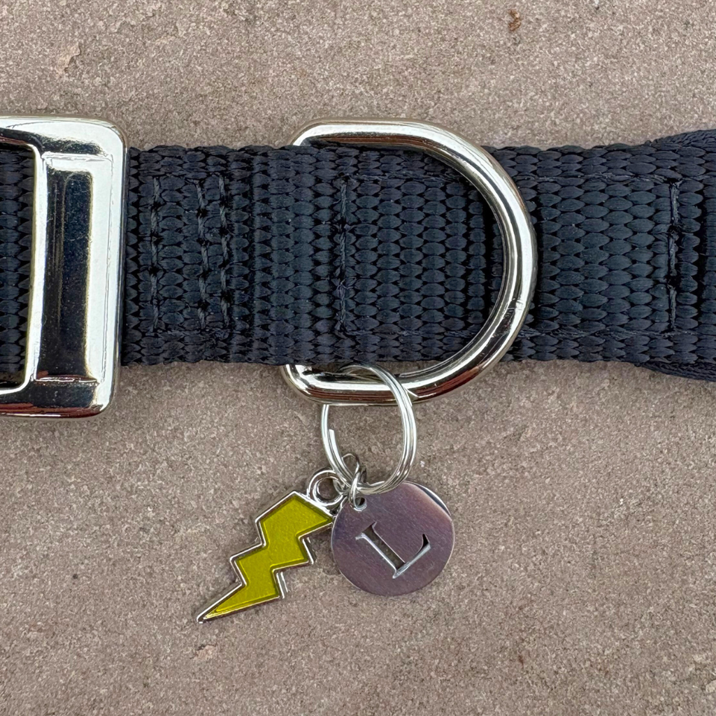 Lightning Bolt Charm