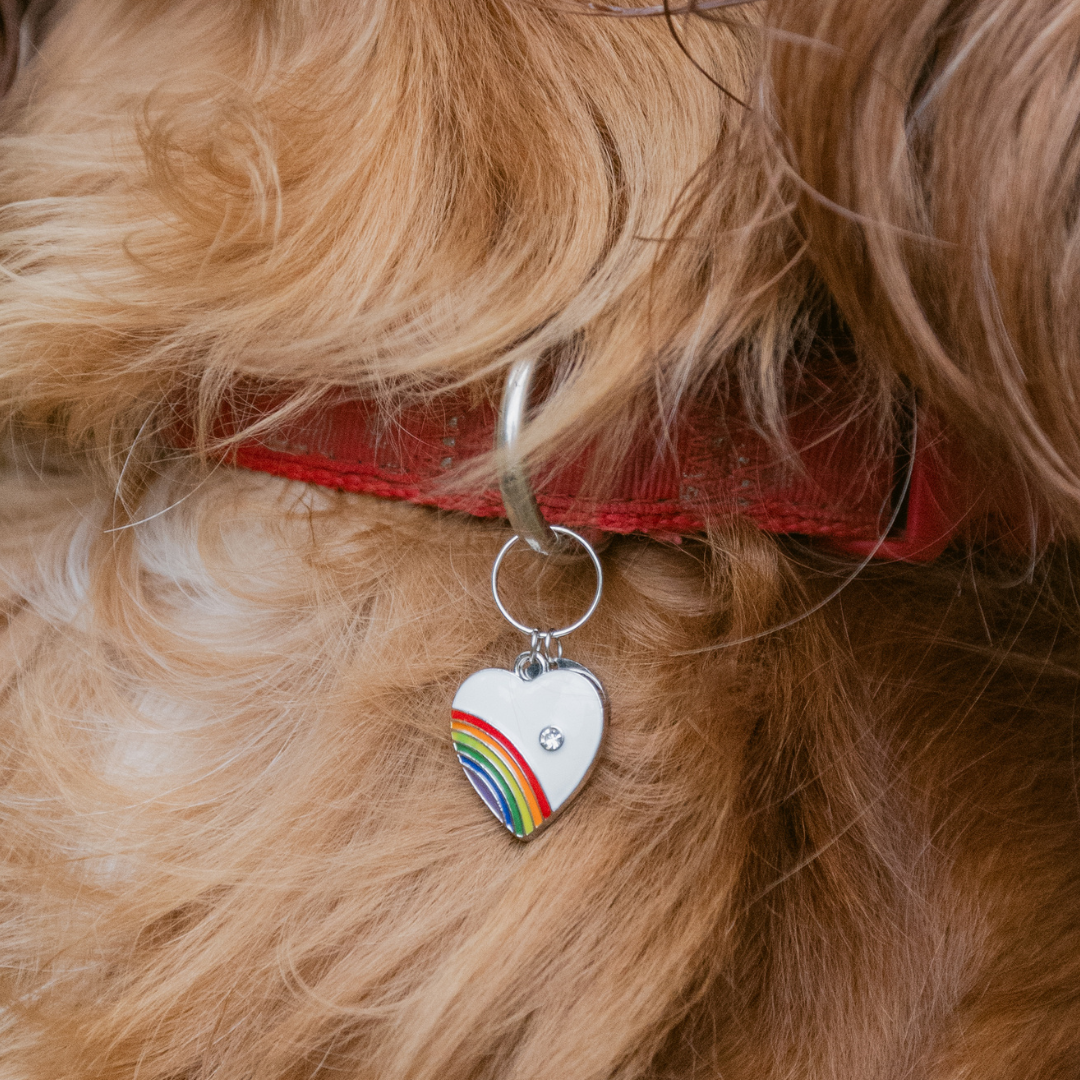 Rainbow Heart Charm