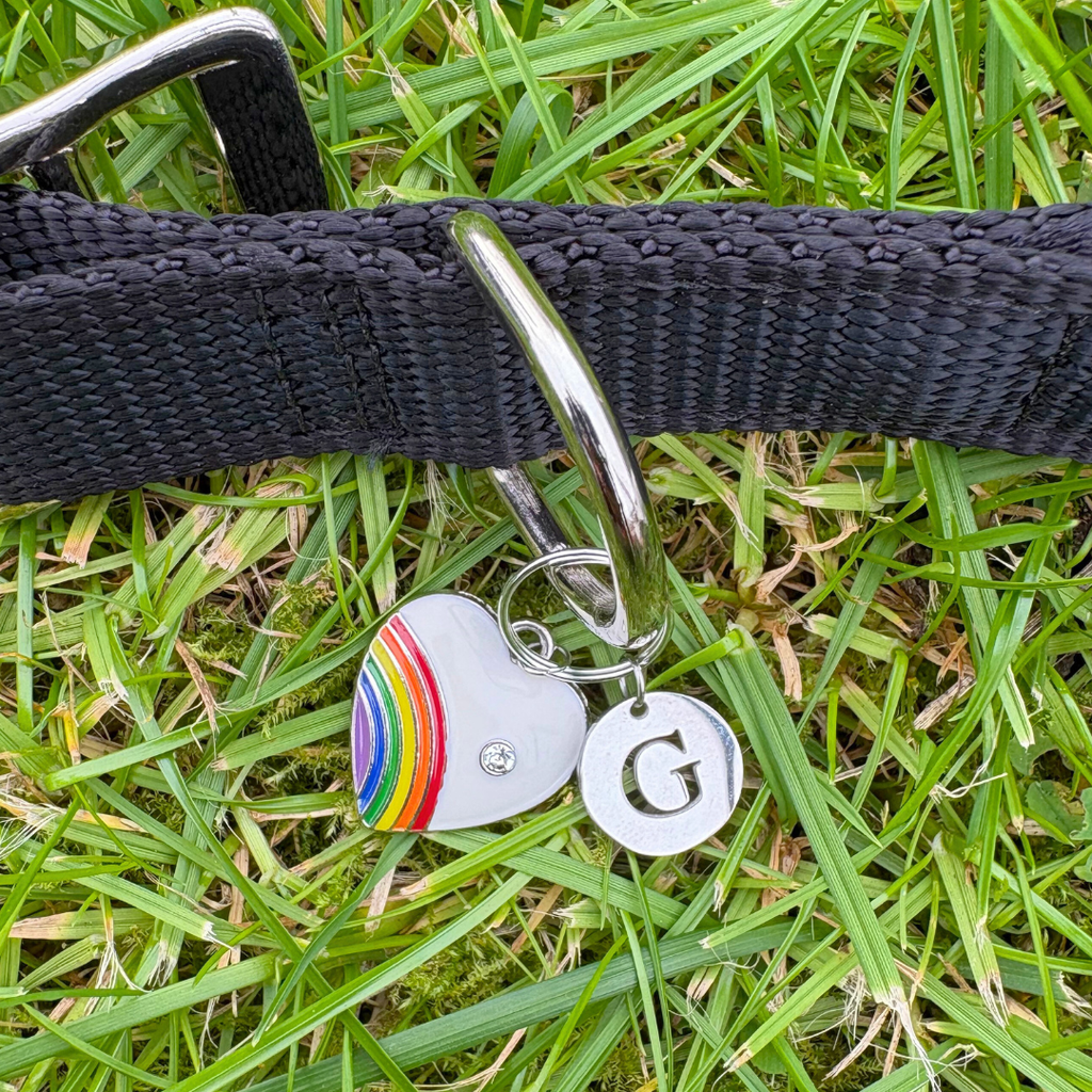 Rainbow Heart Charm