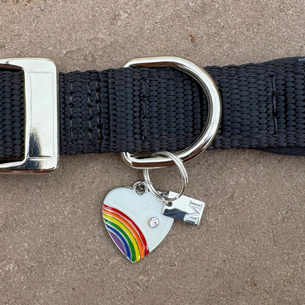 Rainbow Heart Charm