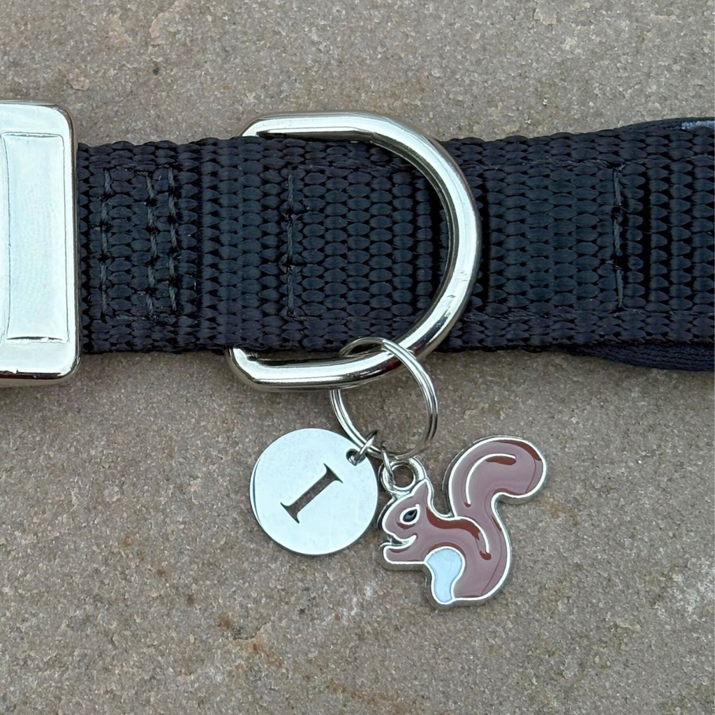 Squirrel Charm