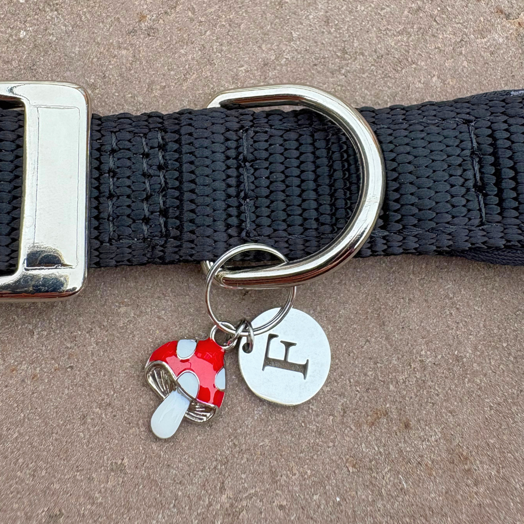 Mushroom Charm