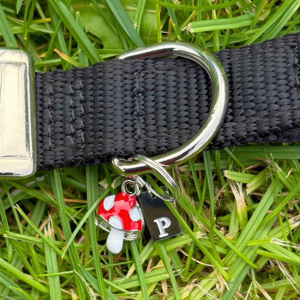 Mushroom Charm
