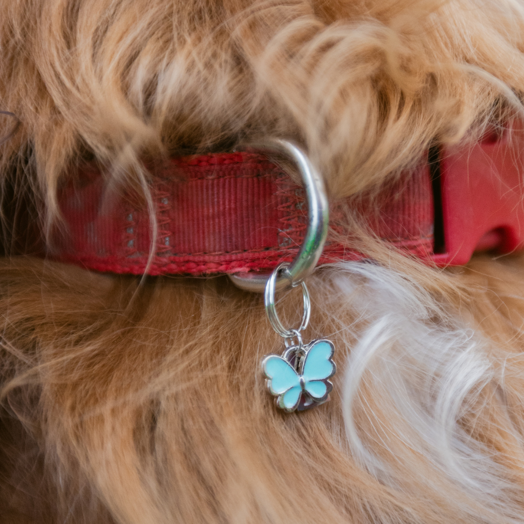 Butterfly Charm