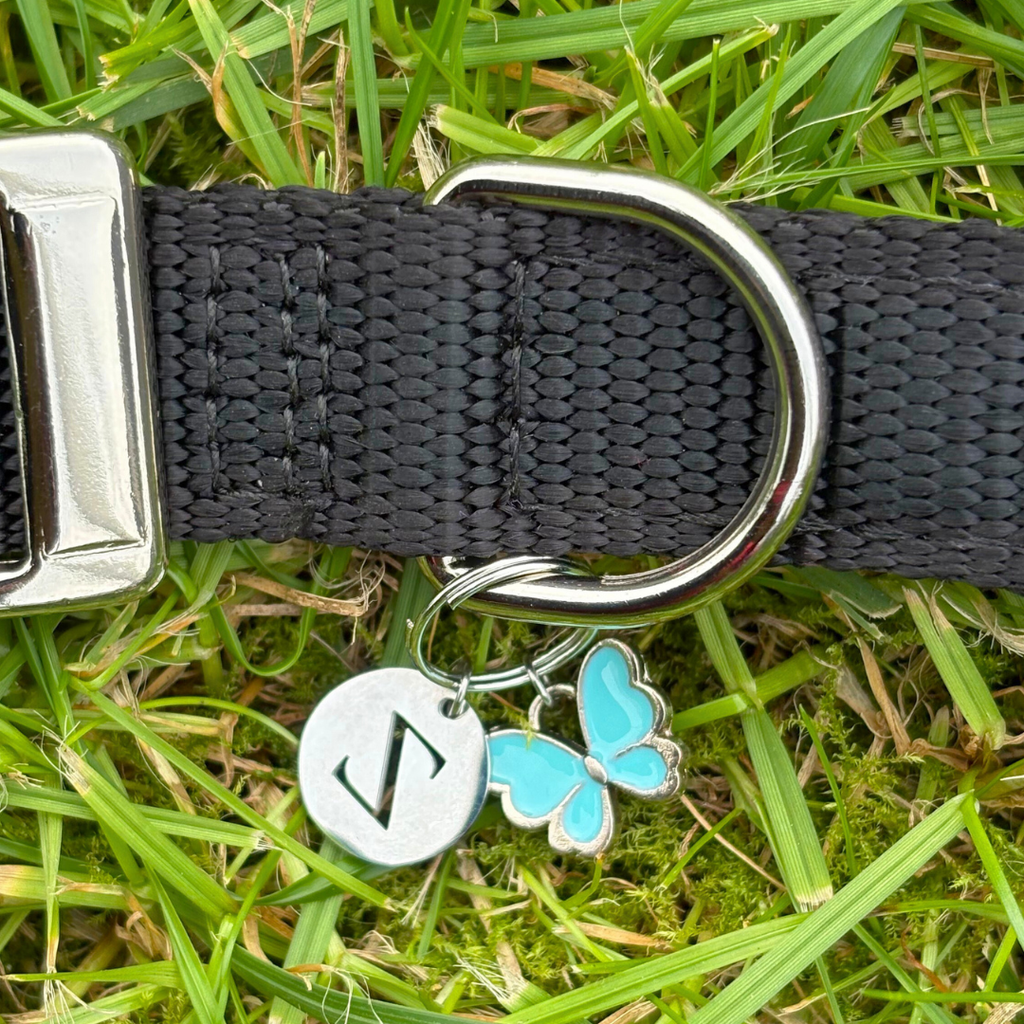 Butterfly Charm