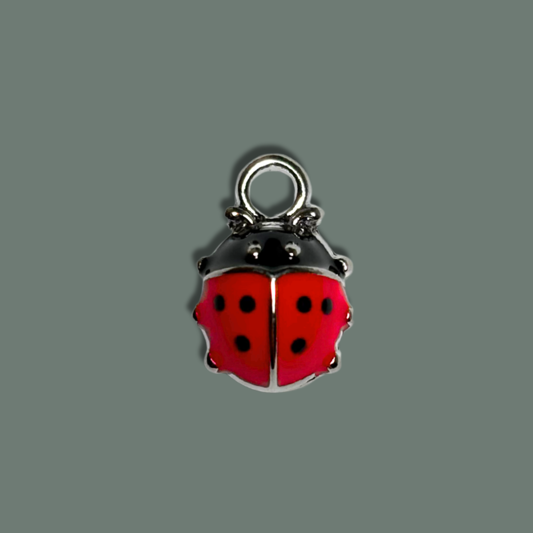 Ladybird Charm