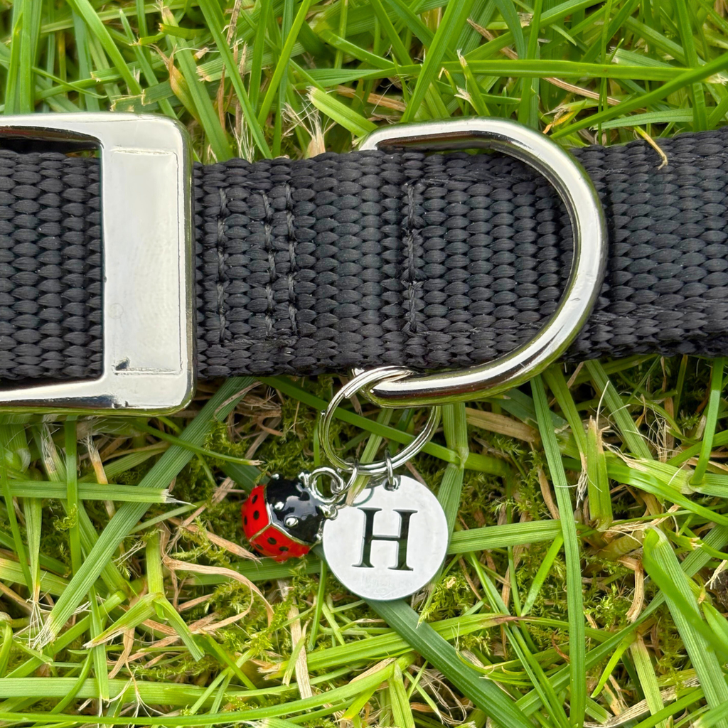 Ladybird Charm