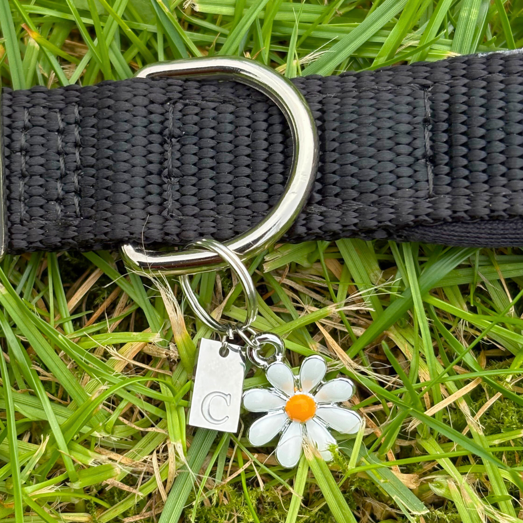 Daisy Charm