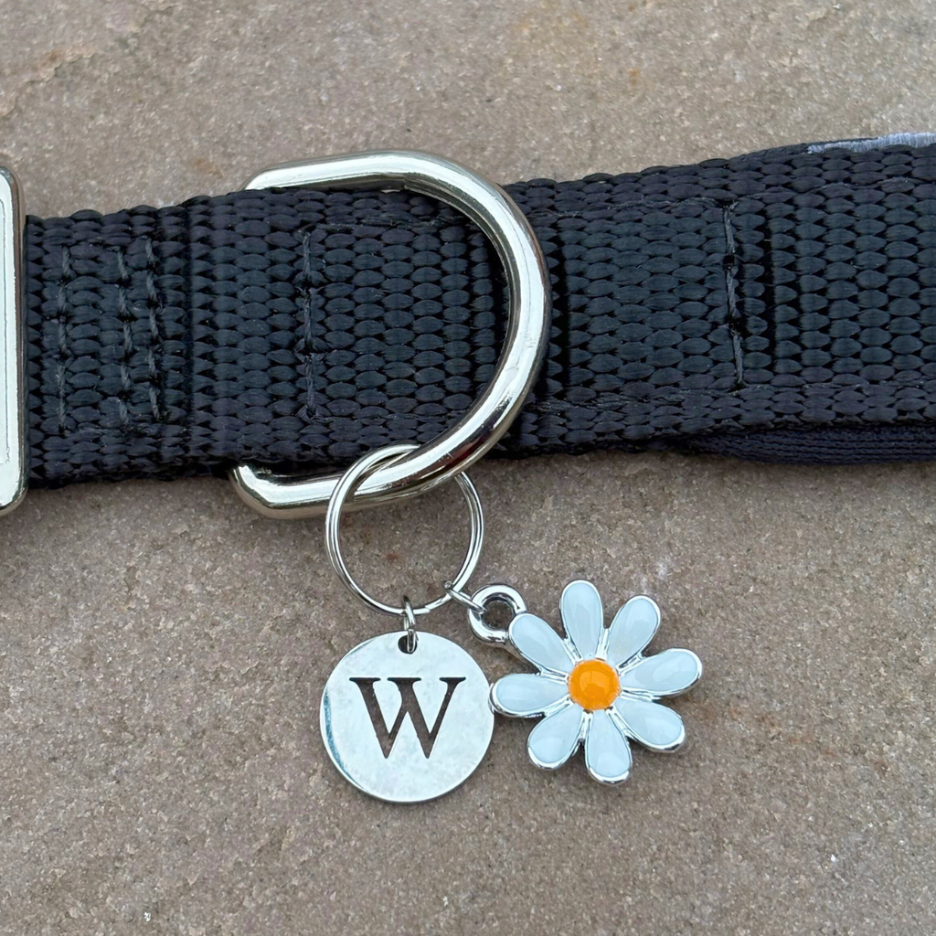 Daisy Charm