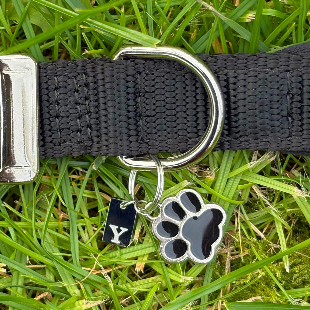 Paw Charm