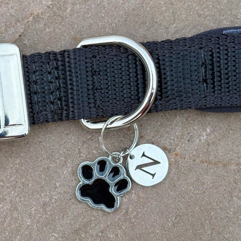 Paw Charm