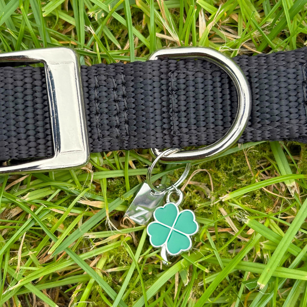 Four Leaf Clover Charm