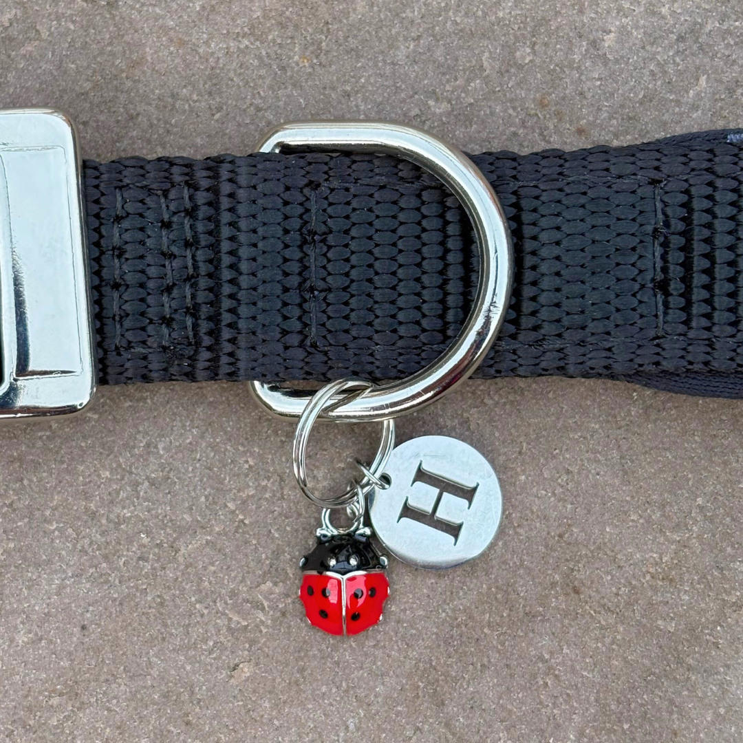 Round Initial (A-Z) Charm