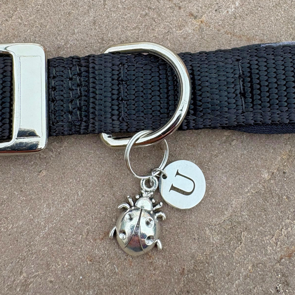 Round Initial (A-Z) Charm