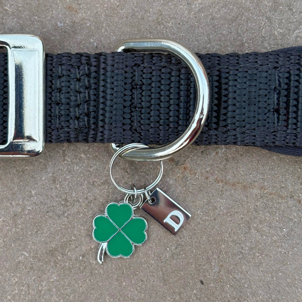 Initial Tag (A-Z) Charm