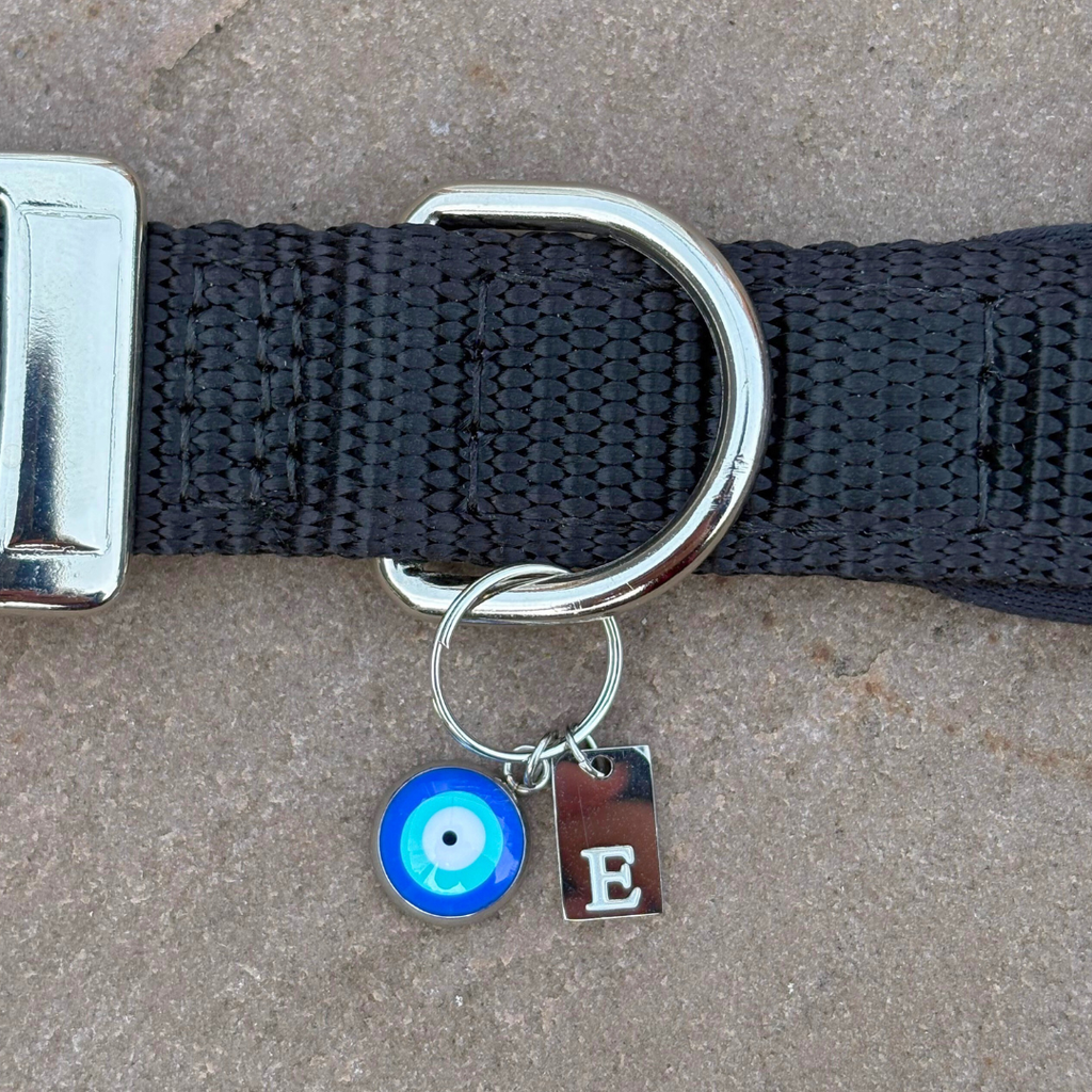 Initial Tag (A-Z) Charm