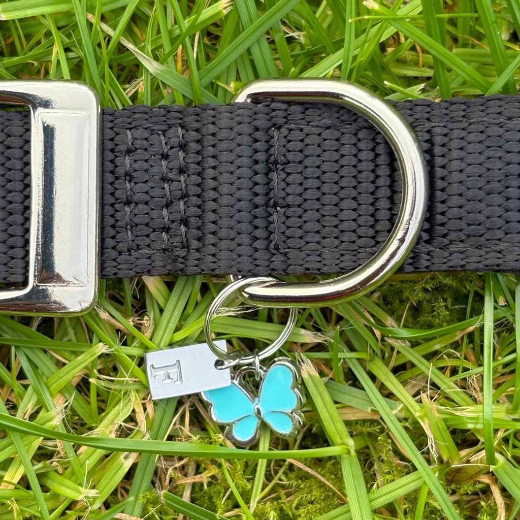 Initial Tag (A-Z) Charm