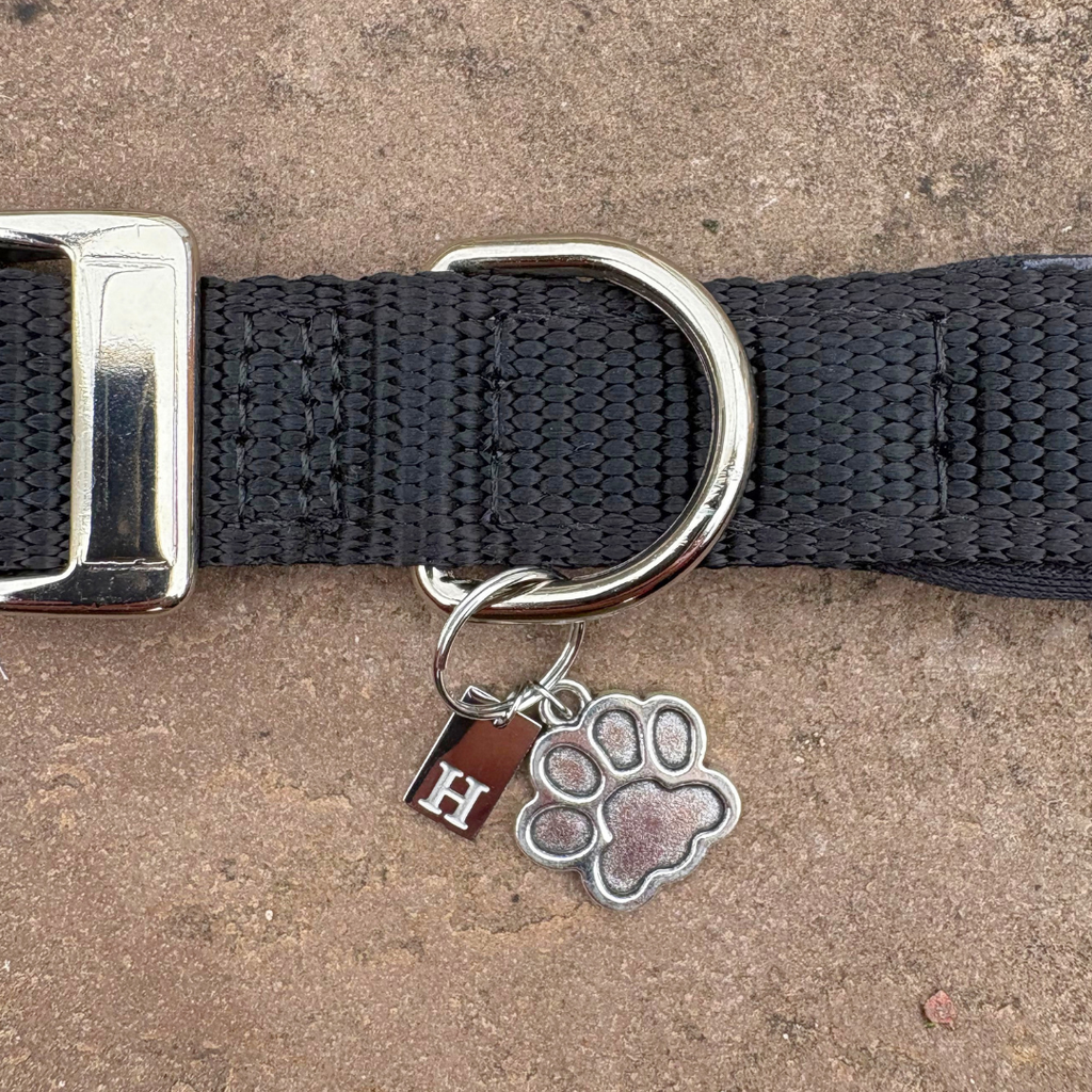 Initial Tag (A-Z) Charm
