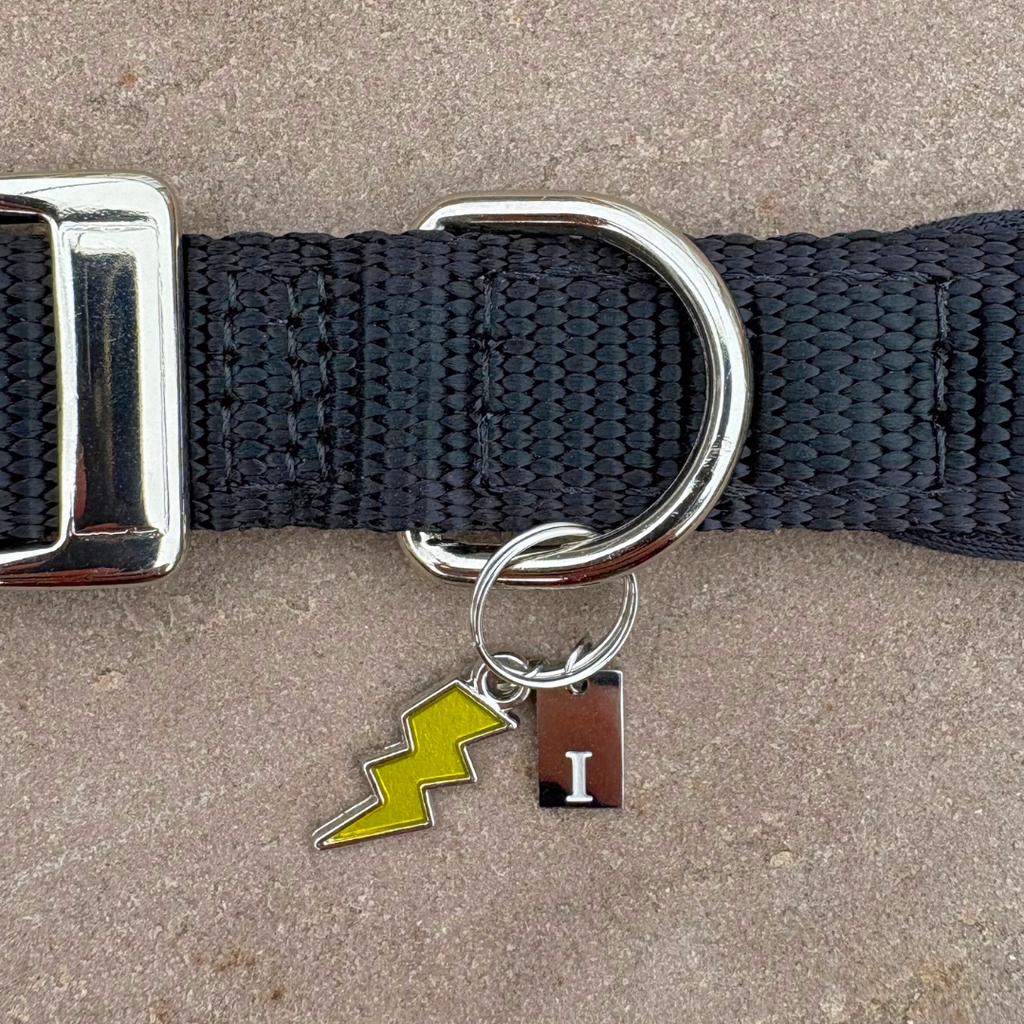 Initial Tag (A-Z) Charm