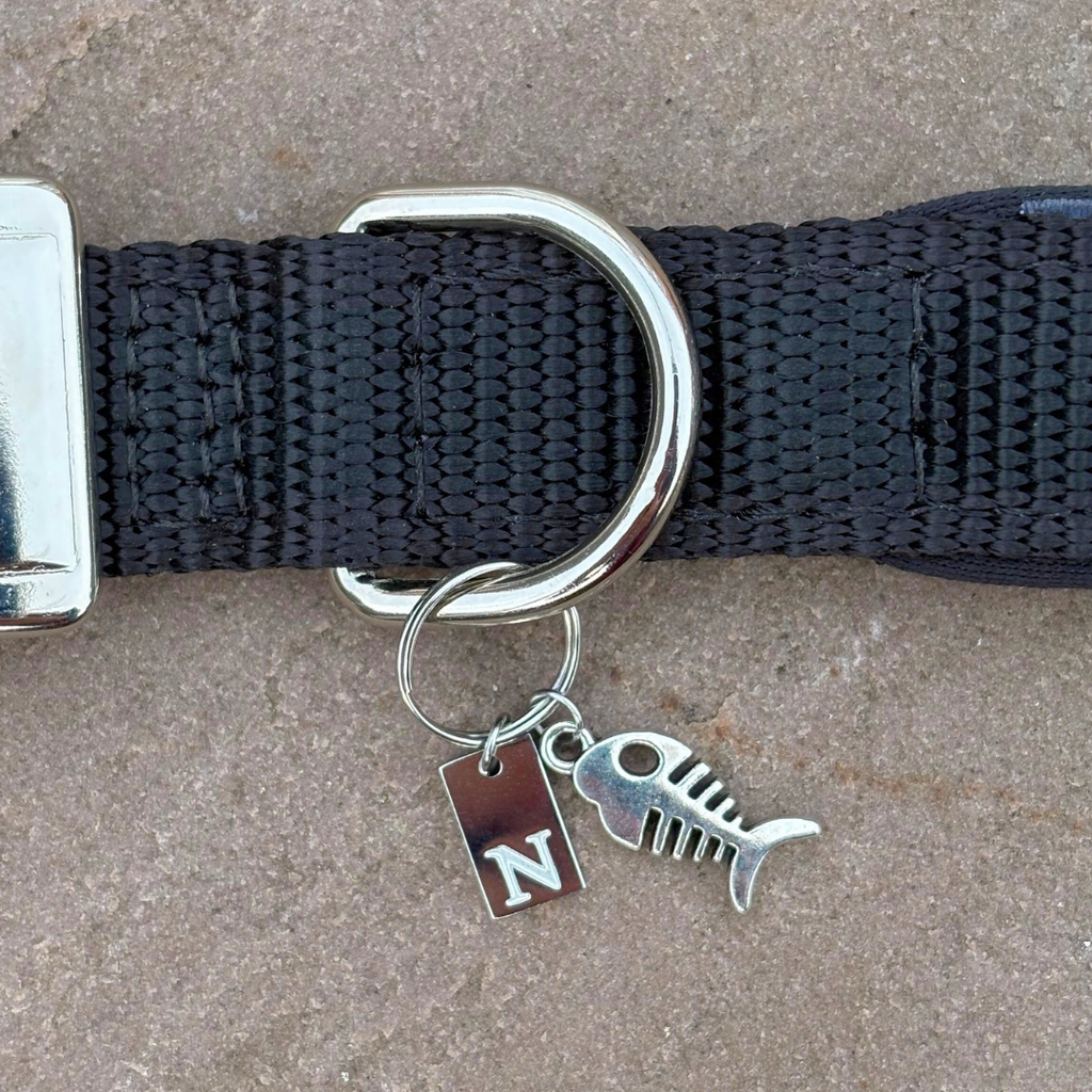 Initial Tag (A-Z) Charm