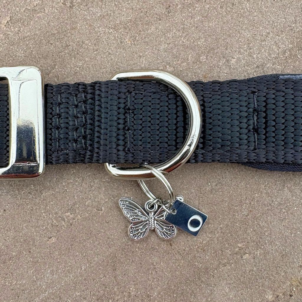 Initial Tag (A-Z) Charm