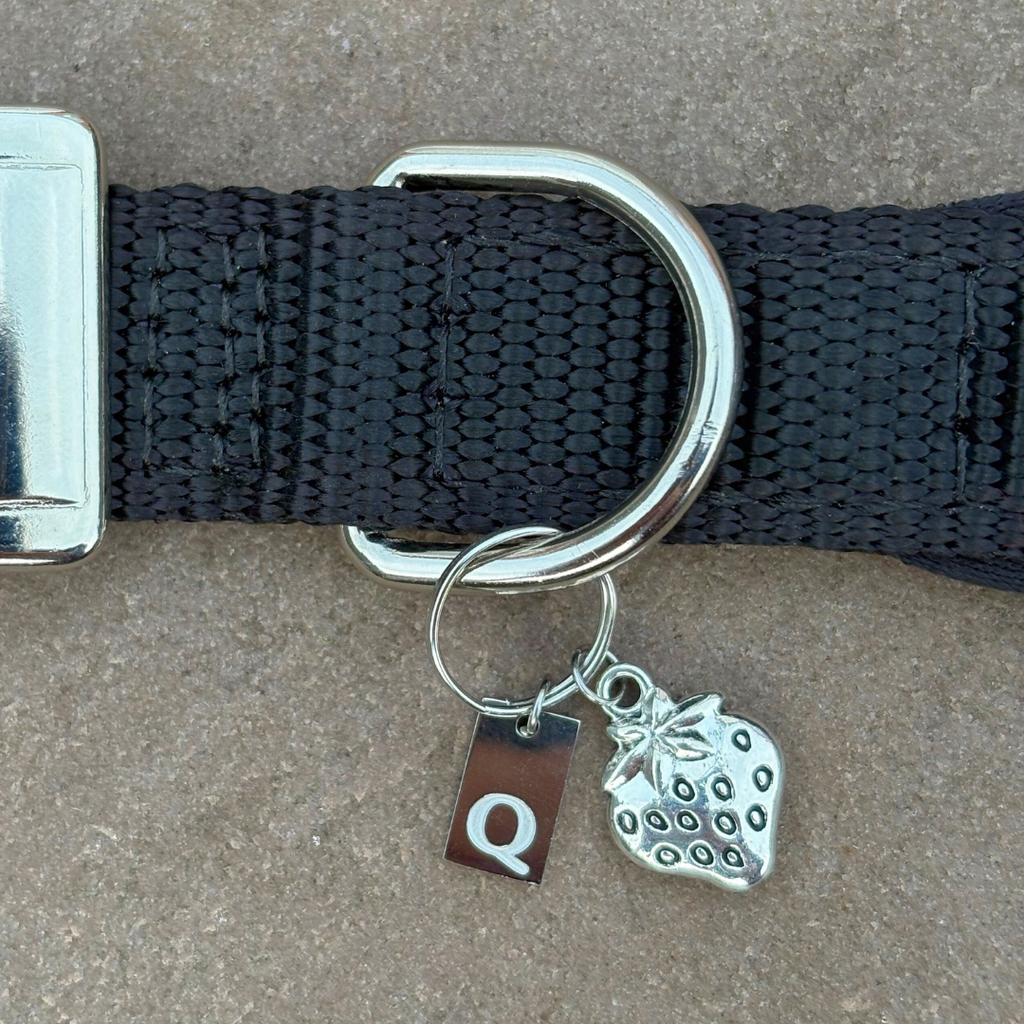 Initial Tag (A-Z) Charm