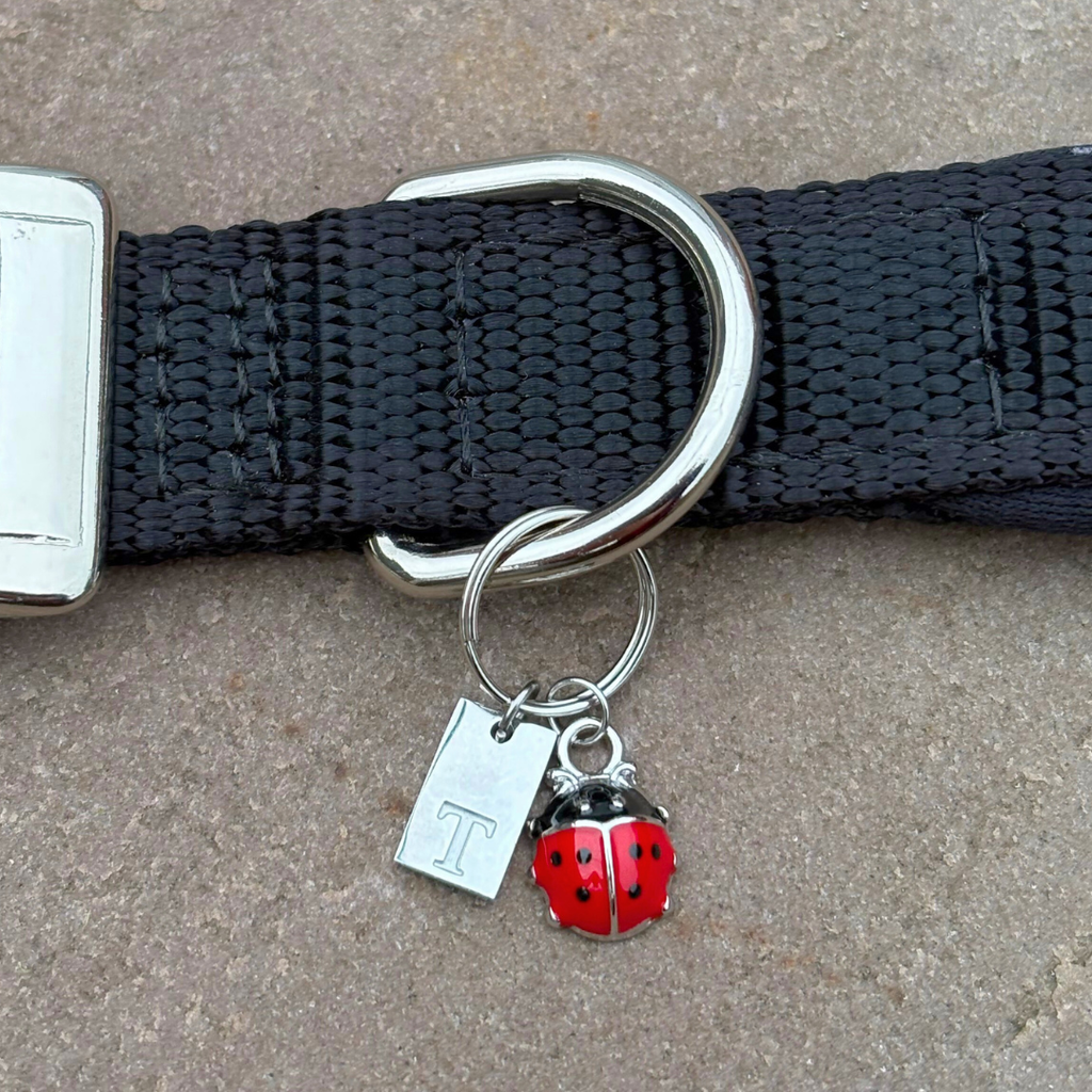 Initial Tag (A-Z) Charm